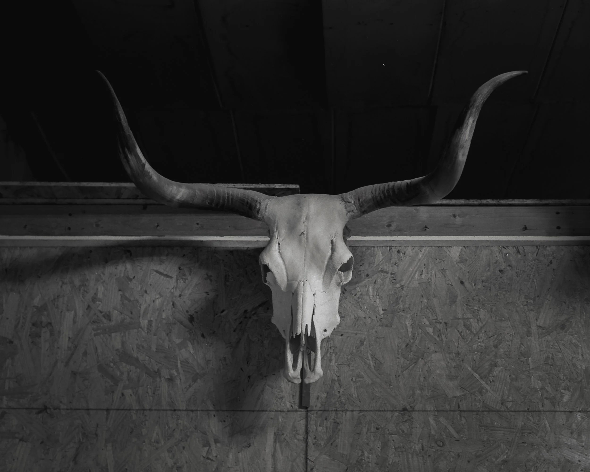 No Fences, No Myths? How Mark McLennan's Photographs Unravel the